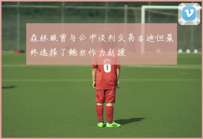 森林狼曾与公牛谈判交易吉迪但最终选择了鲍尔作为新援