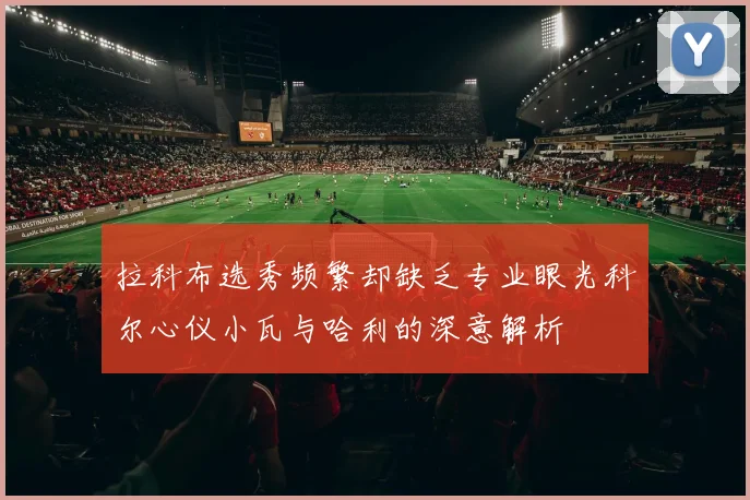 拉科布选秀频繁却缺乏专业眼光科尔心仪小瓦与哈利的深意解析